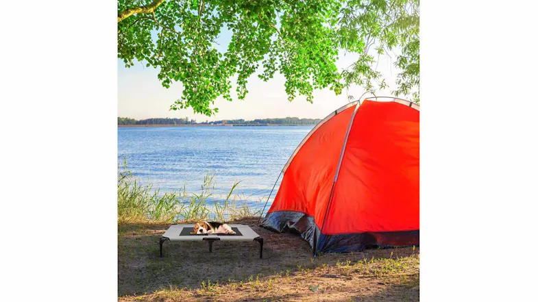 A dog resting on an elevated hammock pet bed beside an orange tent near a lake A dog resting on an elevated hammock pet bed beside an orange tent near a lake