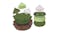 Hape Play Food Set - Green Tea Desserts Hape Play Food Set - Green Tea Desserts