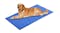 PawPaws Pet Cooling Mat 70 x 110cm - Blue PawPaws Pet Cooling Mat 70 x 110cm - Blue