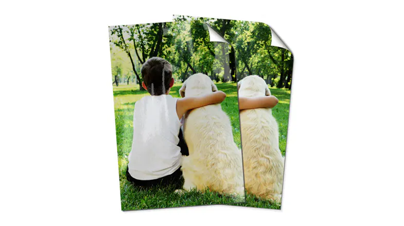 Poster Print - Up to (50x101cm) Poster Print - Up to (50x101cm)
