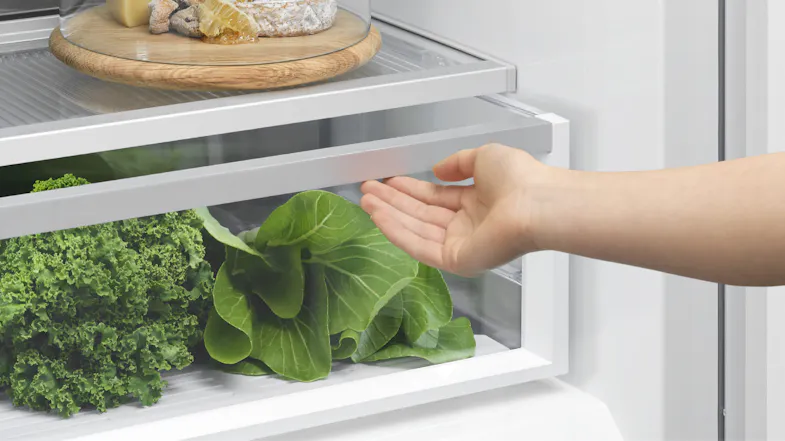 Hand reaching toward a crisper drawer in a fridge containing fresh leafy greens, with a cheese platter Hand reaching toward a crisper drawer in a fridge containing fresh leafy greens, with a cheese platter