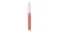 Liquid Lipstick - # Hudson (Faded Terracotta) - 3.2g/0.11oz Liquid Lipstick - # Hudson (Faded Terracotta) - 3.2g/0.11oz