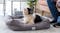 Hacienda Plush Heated Pet Bed with Faux Rabbit Fur Lining Medium - Grey Hacienda Plush Heated Pet Bed with Faux Rabbit Fur Lining Medium - Grey