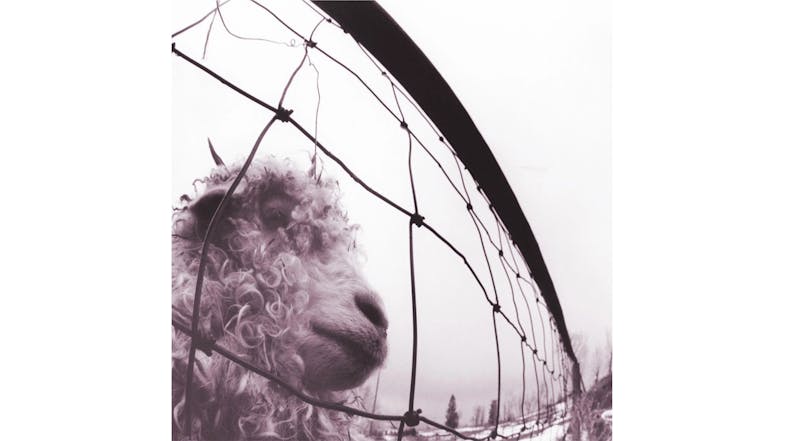 Pearl Jam - VS. Vinyl Album Pearl Jam - VS. Vinyl Album