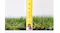 TSB Living Artifical Grass 30mm/2 x 5m - Olive TSB Living Artifical Grass 30mm/2 x 5m - Olive