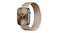 Apple Watch Series 10 - Gold Titanium Case with Gold Milanese Loop (46mm, GPS+Cellular, Bluetooth, Small-Medium) Apple Watch Series 10 - Gold Titanium Case with Gold Milanese Loop (46mm, GPS+Cellular, Bluetooth, Small-Medium)