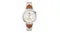Huawei Watch GT 5 Smartwatch - Stainless steel Case with Brown Woven Strap (41mm Case, GPS, Bluetooth) Huawei Watch GT 5 Smartwatch - Stainless steel Case with Brown Woven Strap (41mm Case, GPS, Bluetooth)