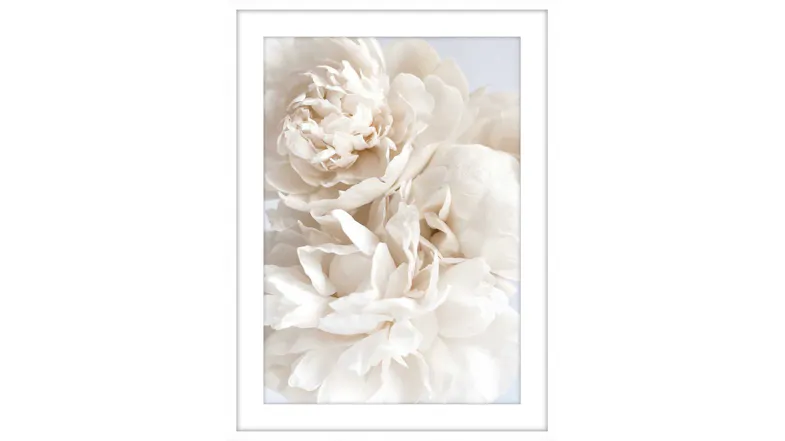 Pivoine Framed Print Pivoine Framed Print