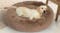 PaWz Donut Calming Pet Bed 60 x 60cm - Taupe PaWz Donut Calming Pet Bed 60 x 60cm - Taupe