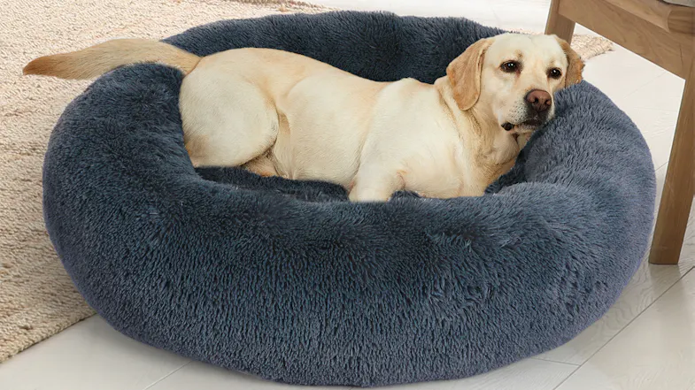 A dog resting on a plush doughnut pet bed placed in a bright living room A dog resting on a plush doughnut pet bed placed in a bright living room