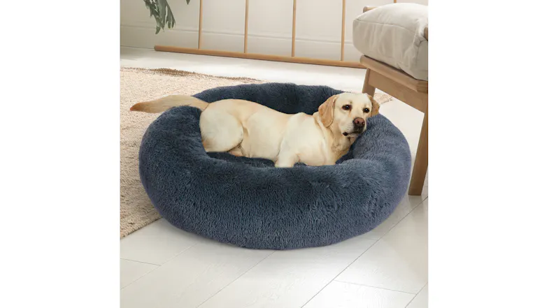 A light-coloured dog is lying comfortably in a large, round, fluffy pet bed indoors A light-coloured dog is lying comfortably in a large, round, fluffy pet bed indoors