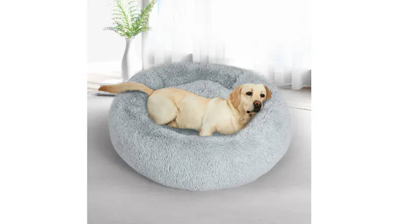 A light-coloured dog is lying comfortably in a round PaWz Fluffy pet bed indoors A light-coloured dog is lying comfortably in a round PaWz Fluffy pet bed indoors