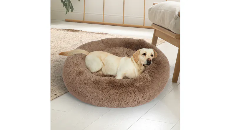 A light-coloured dog is lying comfortably in a large, round, fluffy pet bed indoors A light-coloured dog is lying comfortably in a large, round, fluffy pet bed indoors