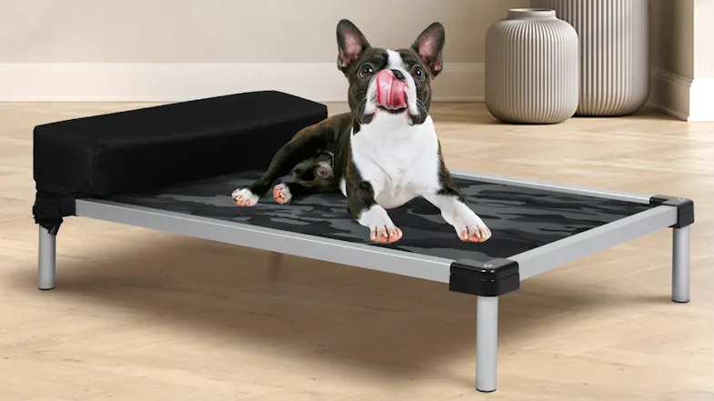 A dog resting on an elevated camo dog bed with a black bolster in a modern living room A dog resting on an elevated camo dog bed with a black bolster in a modern living room