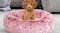 PaWz Fluffy Donut Calming Pet Bed 70 x 27cm - Pink PaWz Fluffy Donut Calming Pet Bed 70 x 27cm - Pink
