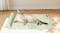 PaWz Summer Cooling Pet Mat Bed 75 x 50cm - Fresh Avocado PaWz Summer Cooling Pet Mat Bed 75 x 50cm - Fresh Avocado
