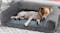 PaWz Premium Pet Sofa Bed with Bolsters 76 x 51cm - Grey PaWz Premium Pet Sofa Bed with Bolsters 76 x 51cm - Grey
