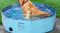 A side view of a dog relaxing in a light blue PaWz pet pool outdoors A side view of a dog relaxing in a light blue PaWz pet pool outdoors
