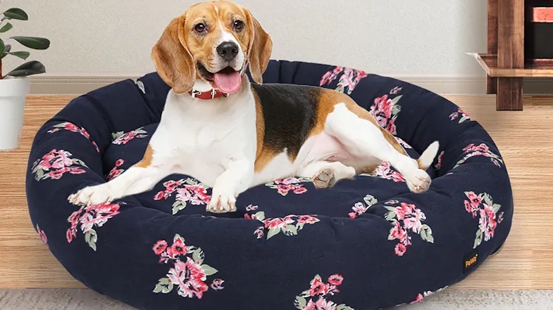 Small dog resting in a round navy floral pet bed with cushioned sides in a bright indoor room Small dog resting in a round navy floral pet bed with cushioned sides in a bright indoor room