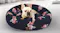 Small dog resting in a round navy floral pet bed with cushioned sides in a bright indoor room Small dog resting in a round navy floral pet bed with cushioned sides in a bright indoor room