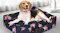 A dog lying on a navy floral dog bed with cushioned sides in a bright room A dog lying on a navy floral dog bed with cushioned sides in a bright room