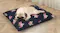 Beagle lying comfortably on a large navy pet bed with pink floral prints in a cosy room with wood flooring and soft curtains Beagle lying comfortably on a large navy pet bed with pink floral prints in a cosy room with wood flooring and soft curtains