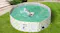 A small dog swimming in a filled pet pool placed on grass in a backyard setting A small dog swimming in a filled pet pool placed on grass in a backyard setting