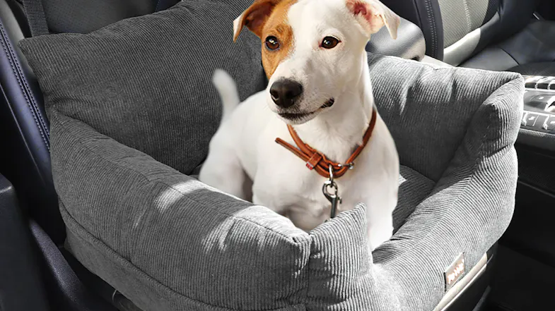 A dog is sitting in a grey corduroy pet booster seat inside a car A dog is sitting in a grey corduroy pet booster seat inside a car