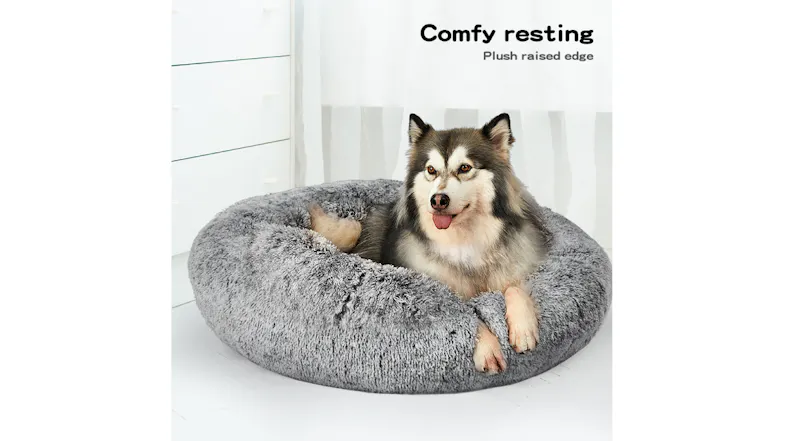Dog resting on a plush grey donut pet bed with raised edges, illustrating the comfortable, supportive design Dog resting on a plush grey donut pet bed with raised edges, illustrating the comfortable, supportive design