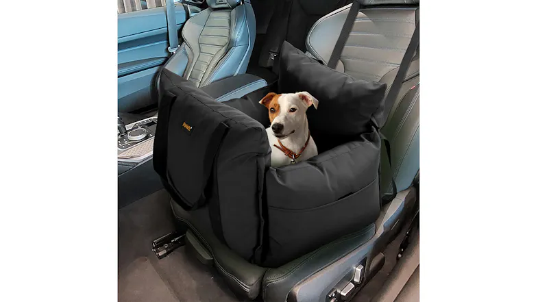 Small dog sitting in a black padded pet car seat secured on a car’s front passenger seat Small dog sitting in a black padded pet car seat secured on a car’s front passenger seat