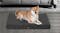 PaWz Washable Cozy Othopedic Fleece Pet Bed 120 x 80cm - Grey PaWz Washable Cozy Othopedic Fleece Pet Bed 120 x 80cm - Grey