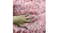 PaWz Fluffing Calming Pet Blanket 100 x 127cm - Pink PaWz Fluffing Calming Pet Blanket 100 x 127cm - Pink