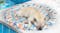PaWz Premium Round Cooling Pet Bed 60cm - Starfish Splash PaWz Premium Round Cooling Pet Bed 60cm - Starfish Splash