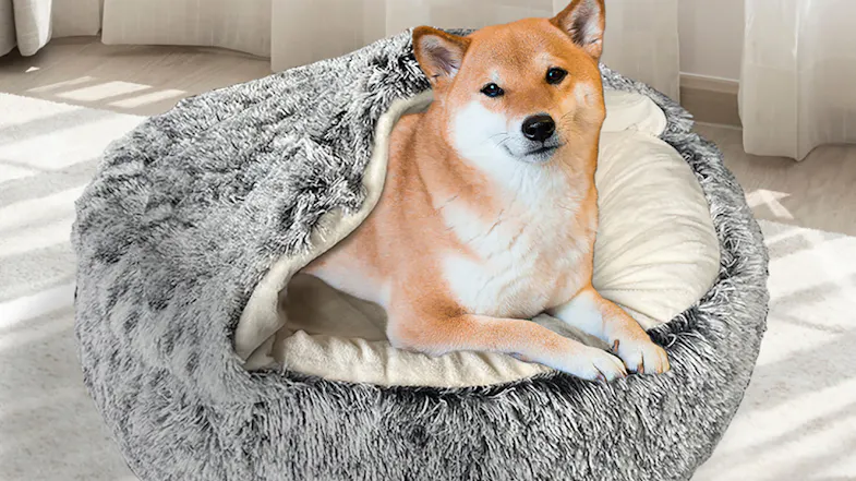 A dog lying comfortably in a charcoal hooded fluffy pet bed in a bright room A dog lying comfortably in a charcoal hooded fluffy pet bed in a bright room