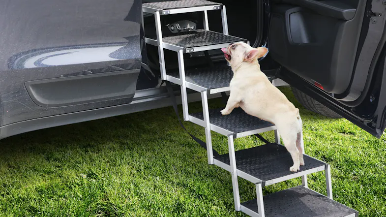 Dog climbing folding aluminium pet steps to enter a car, highlighting sturdy construction and non-slip surfaces Dog climbing folding aluminium pet steps to enter a car, highlighting sturdy construction and non-slip surfaces