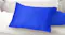 Dreamz Mulberry Silk Pillowcase and Eyemask Gift Set - Vivid Blue Dreamz Mulberry Silk Pillowcase and Eyemask Gift Set - Vivid Blue