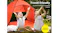 Mountview 2 Person Pop-Up Shelter Tent with Cover - Orange Mountview 2 Person Pop-Up Shelter Tent with Cover - Orange