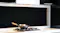 Schweigen 60cm Undermount Integrated Rangehood - Stainless Steel (UM1170-6S1) Schweigen 60cm Undermount Integrated Rangehood - Stainless Steel (UM1170-6S1)