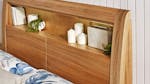 Edison Queen Bed Frame with 2 Drawer Base Edison Queen Bed Frame with 2 Drawer Base