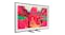 Samsung 65" LS03F The Frame Pro Smart 4K Neo QLED Mini-LED TV (2025) with Tizen OS Samsung 65" LS03F The Frame Pro Smart 4K Neo QLED Mini-LED TV (2025) with Tizen OS
