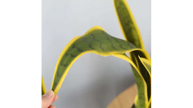 Soga Artificial Yellow Edge Tiger Piran Plant 50cm Soga Artificial Yellow Edge Tiger Piran Plant 50cm