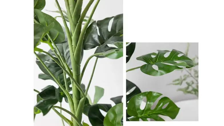 Soga Artificial Turtle Back Plant 120cm Soga Artificial Turtle Back Plant 120cm