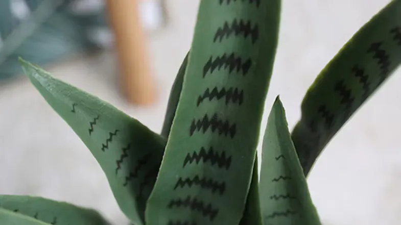 Soga 97Cm Artificial Snake Plant Soga 97Cm Artificial Snake Plant