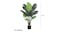 Soga Artificial Turtle Back Plant 113cm Soga Artificial Turtle Back Plant 113cm