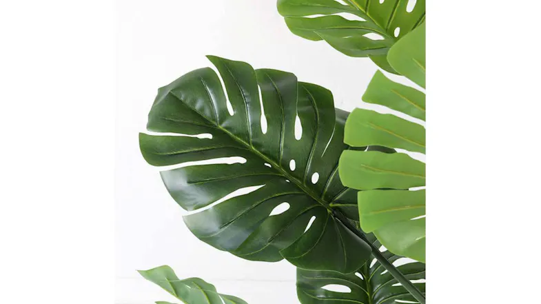 Soga Artificial Turtle Back Plant 113cm Soga Artificial Turtle Back Plant 113cm