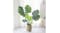 Soga Artificial Turtle Back Plant 80cm Soga Artificial Turtle Back Plant 80cm