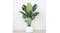 Soga Artificial Turtle Back Plant 93cm Soga Artificial Turtle Back Plant 93cm