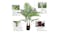 Soga Artificial Swallowtail Plant 165cm Soga Artificial Swallowtail Plant 165cm