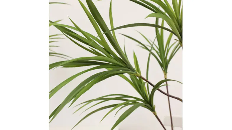 Soga Artificial Dragon Blood Plant 145cm Soga Artificial Dragon Blood Plant 145cm