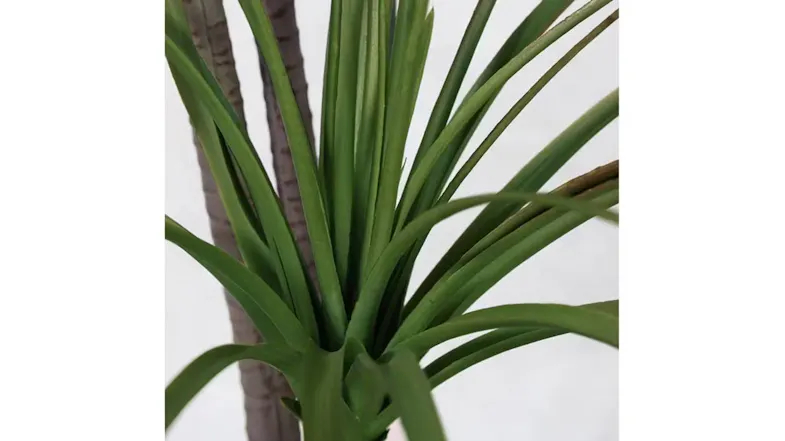 Soga Artificial Dragon Blood Plant 150cm Soga Artificial Dragon Blood Plant 150cm